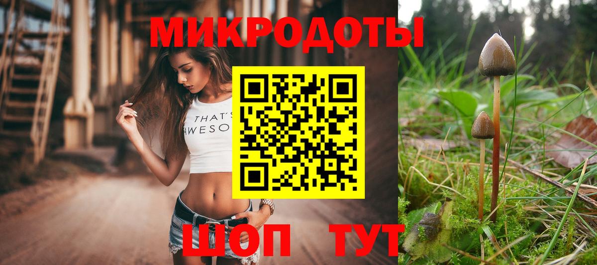 Псилоцибиновые грибы Cubensis Екатеринбург